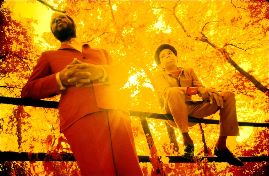 153 – Ornette Coleman & son, Aero Infrared film, Central Park, NYC, 1969 - Elliott Landy - Retroactv Merch Inc.