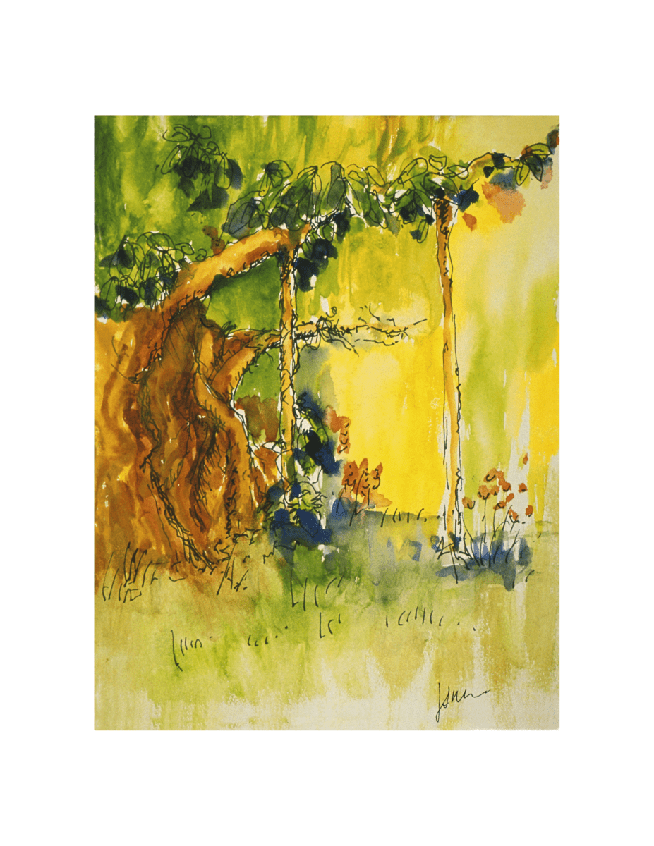 Banyan Trees - Jerry Garcia - Studio Series - Retroactv Merch Inc.