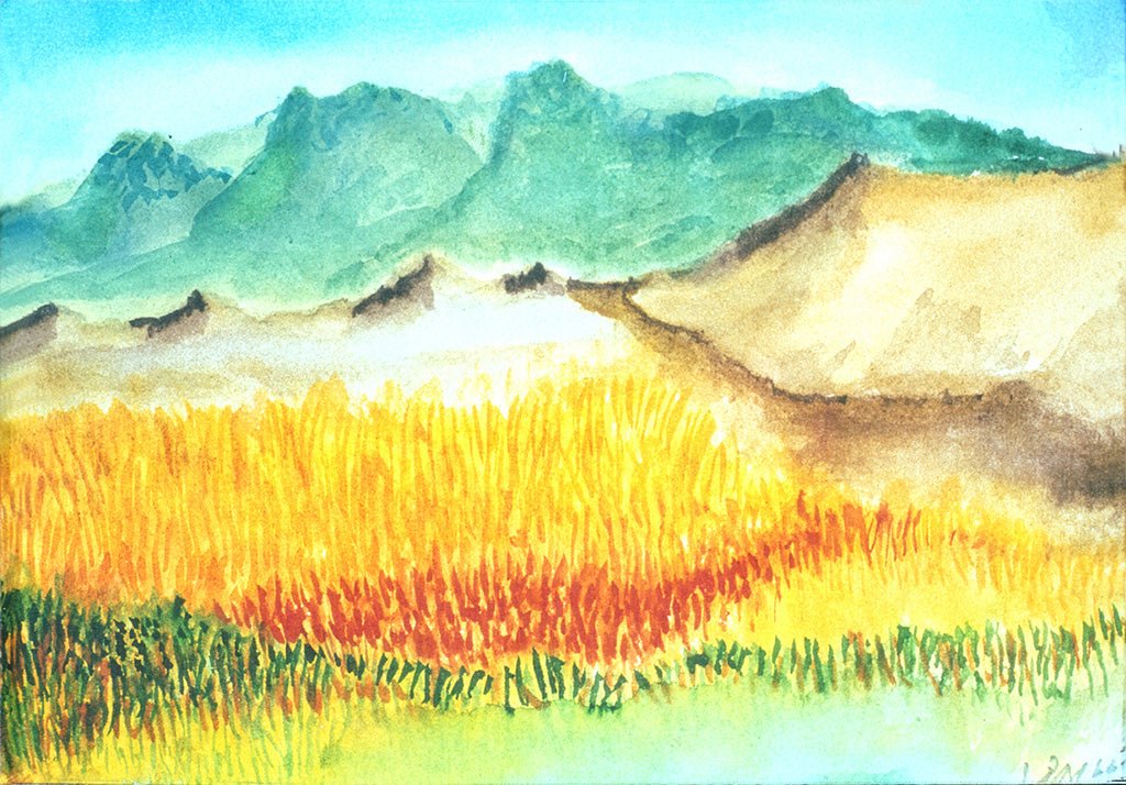 Golden Meadows - Jerry Garcia - Studio Series - Retroactv Merch Inc.