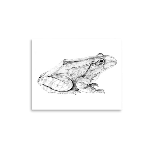 Dick Boak Frog Poster - Retroactv Merch Inc.