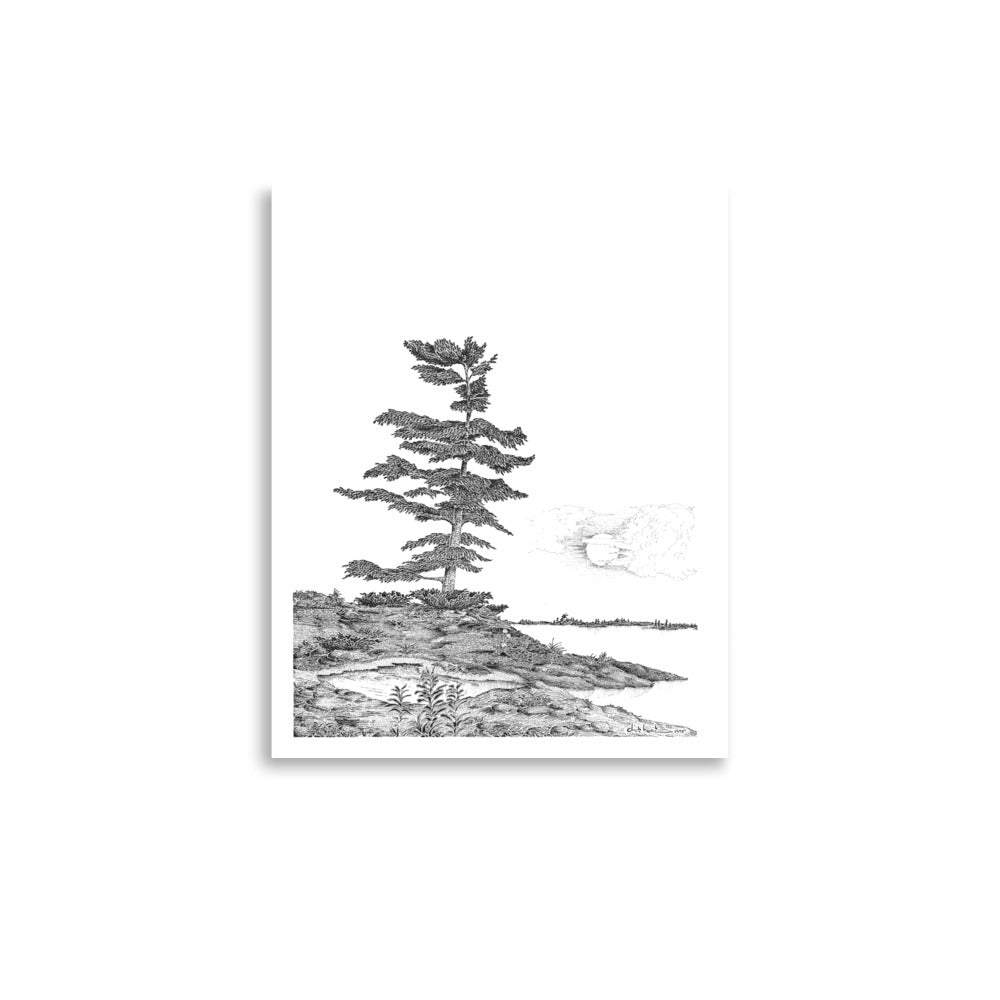 Dick Boak West Wind Poster - Retroactv Merch Inc.