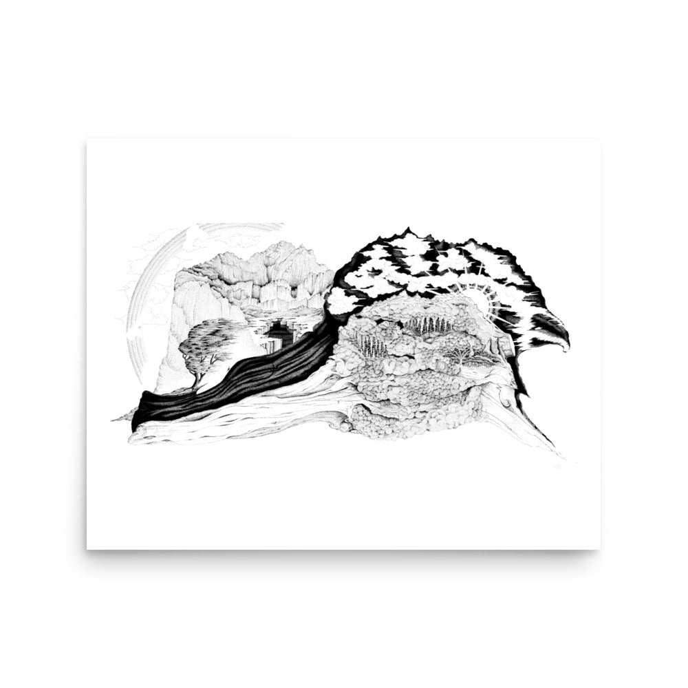Dick Boak Driftwood Visions Poster - Retroactv Merch Inc.