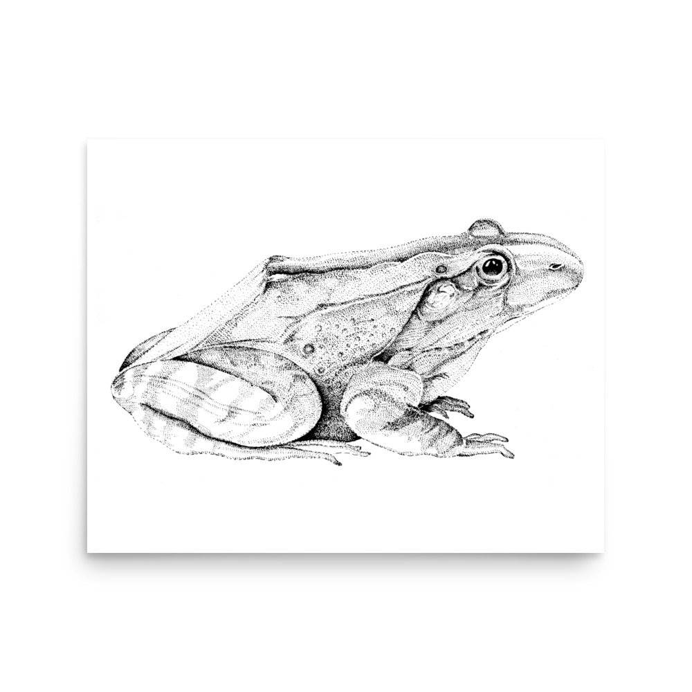 Dick Boak Frog Poster - Retroactv Merch Inc.