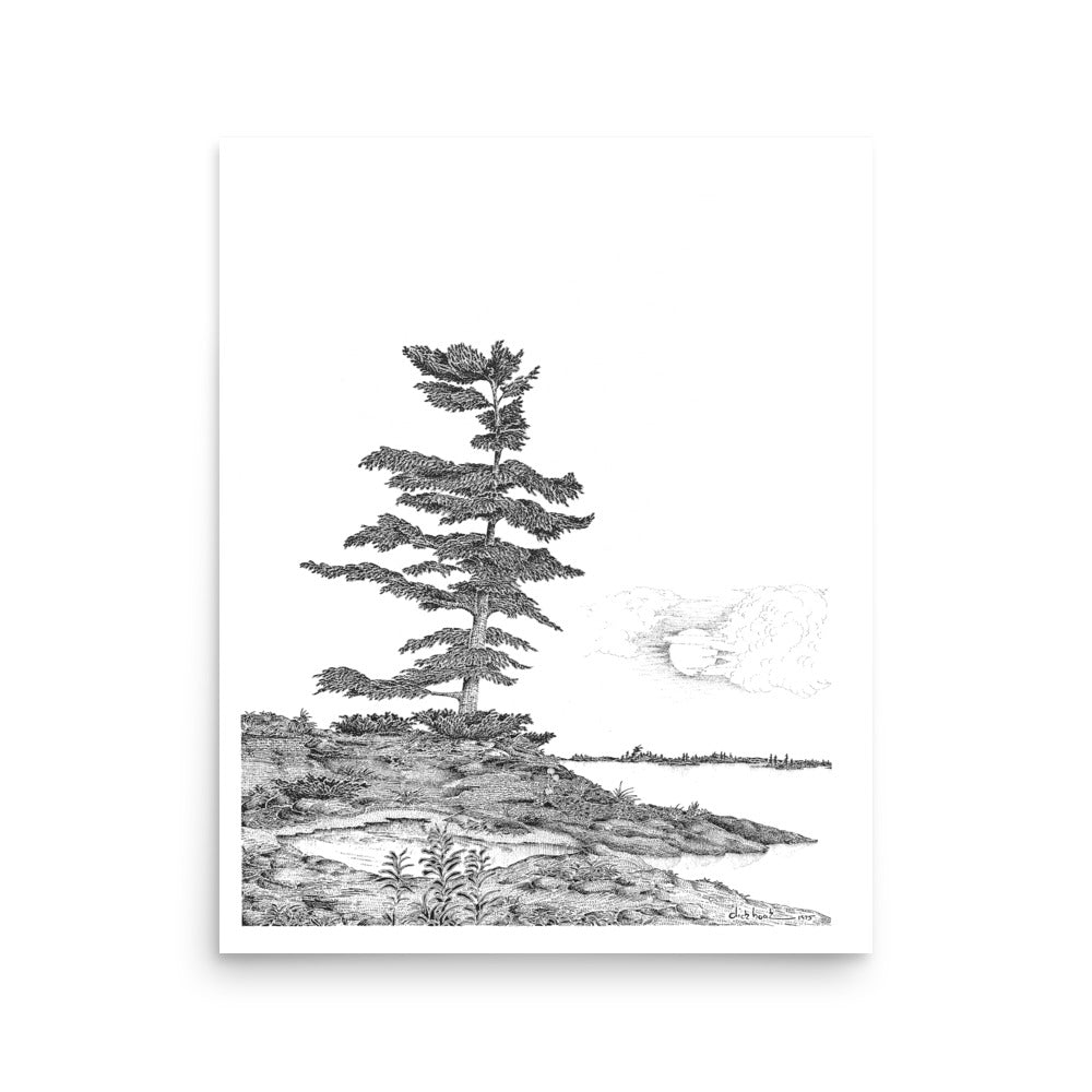 Dick Boak West Wind Poster - Retroactv Merch Inc.