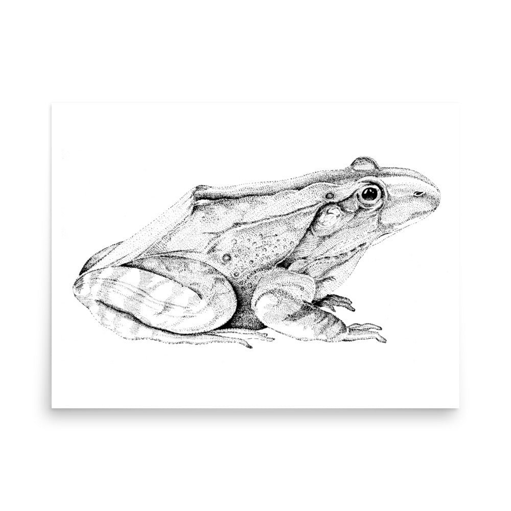 Dick Boak Frog Poster - Retroactv Merch Inc.