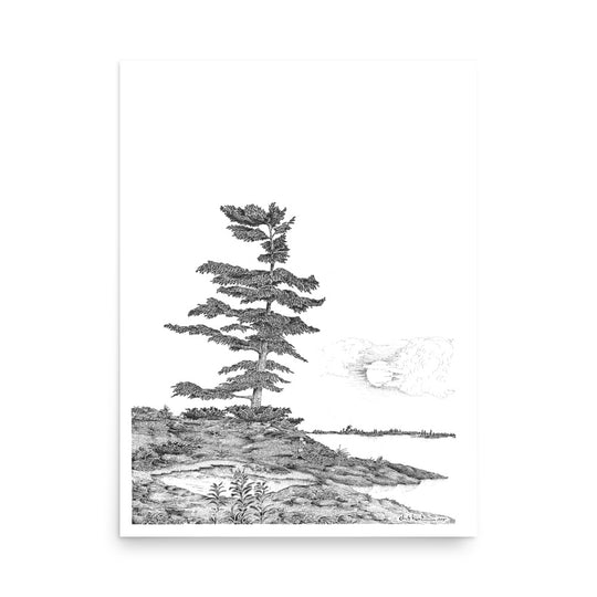 Dick Boak West Wind Poster - Retroactv Merch Inc.