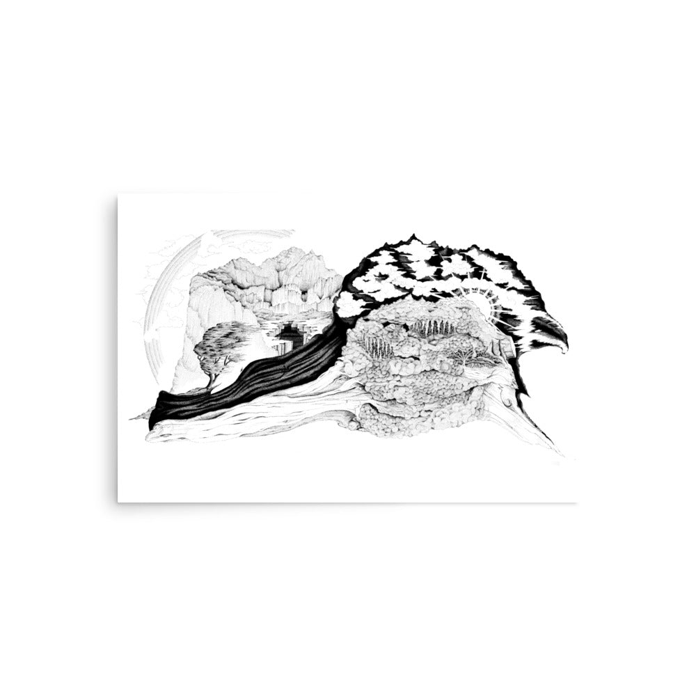 Dick Boak Driftwood Visions Poster - Retroactv Merch Inc.